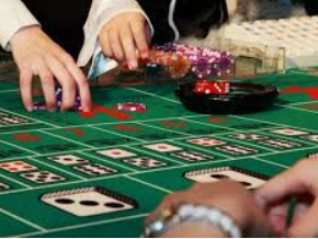 bwin必赢登录入口app官网免费版